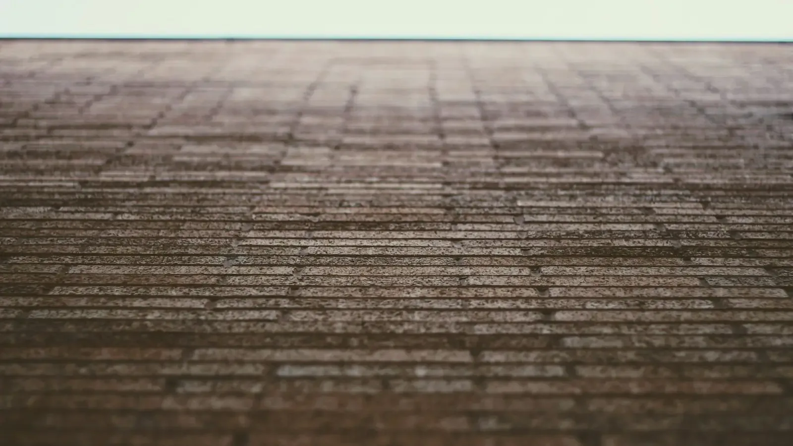Metal Roofing